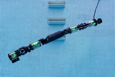 Watch A Snake Robot Go For A Swim Wired
