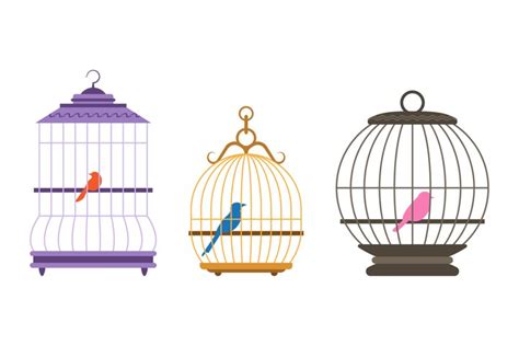Bird Cage Illustrations