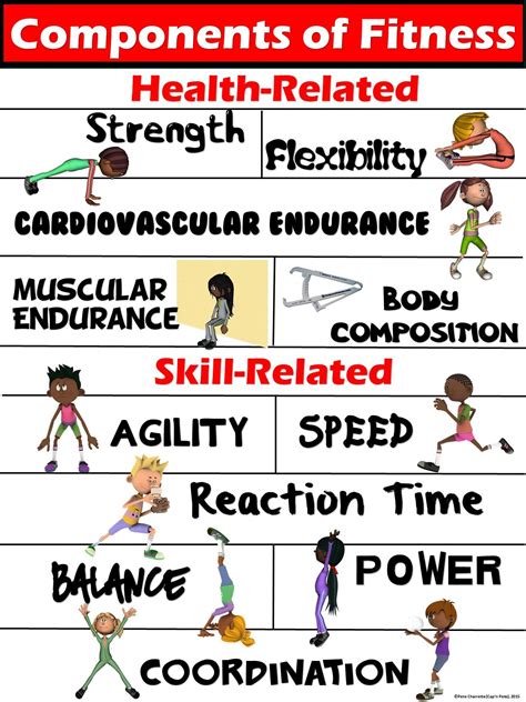 What Are Physical Activity Components Gym Pack