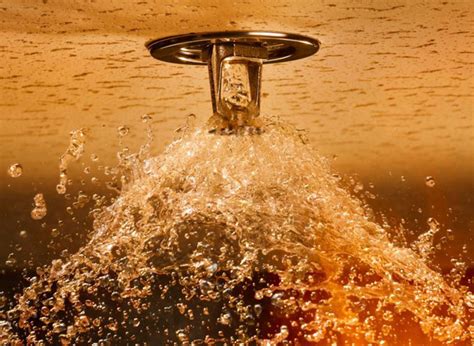 Replacing or relocating sprinkler heads for your entire lawn will cost about $400. Fire Sprinkler Head Shut Off Tool | Sprinkler Stopper ...