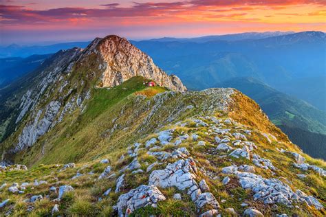 Carpathian Mountains Wildlife Location In Poland Europe Wildlife