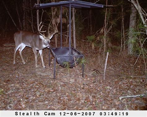 Building A Trough Feeder Georgia Outdoor News Forum Deer Feeders