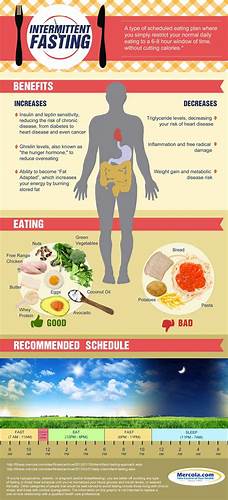 Fasting intermittent диета