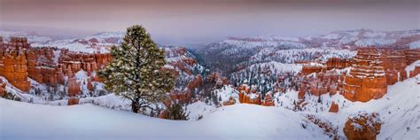 Bryce Canyon National Park Images By Dave Koch Photography