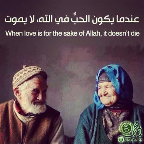 Islamic marriage quotes hd images for free download, islamic love quotes from quran, islamic quotes about love and marriage, islamic righteous spouses assist one another in preserving their faith by offering help, support, and advice that enables them to obey allah and abstain from sinning. ALWAYS... Love for the sake of Almighty~ | Love in islam ...