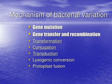 Ppt Bacterial Genetics Powerpoint Presentation Free Download Id479519