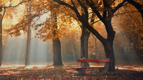 Download 1920x1080 Hd Wallpaper Central Park Autumn Bench Rays Desktop