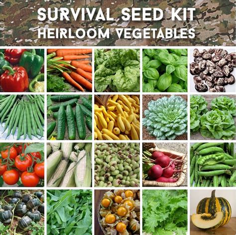 Survival Organic Heirloom Vegetable Seed Personal Collection 20