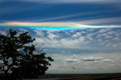 Circumhorizontal Arcs Misleadingly Known As Fire Rainbows An Optical