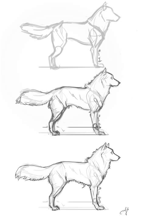 Easy Wolf Drawing At Getdrawings Free Download