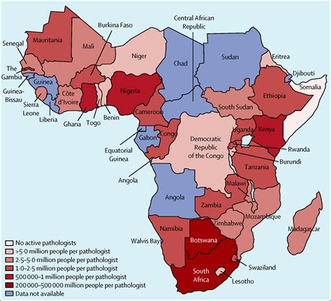 Improvement Of Pathology In Sub Saharan Africa The Lancet Oncology