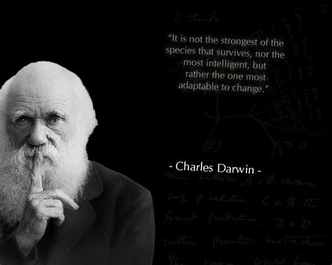Charles Darwin Wallpapers Top Free Charles Darwin Backgrounds