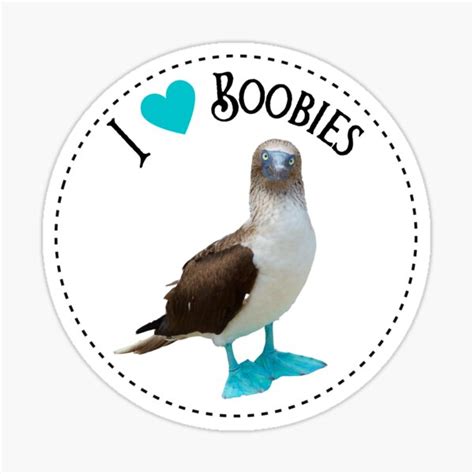 I Love Boobies Blue Footed Booby Sticker For Sale By Toadsforall