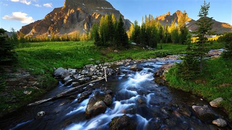 Beautiful River Hd 1080p Wallpapers Download Hd Wallpapers Landscape