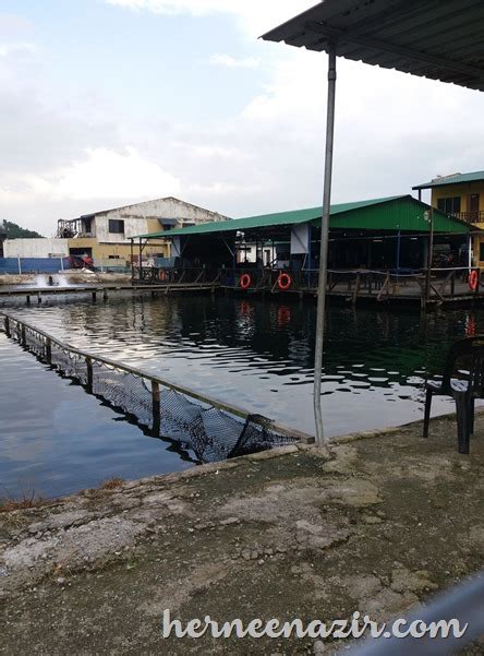 Tempat ini sangat popular di kalangan para pelancong kerana kualiti masakan yang sedap, sehinggakan terpaksa beratur panjang untuk makan tengahari di sini. Port Kaki Pancing Kolam di Tanjung Fishing Village Pendas ...