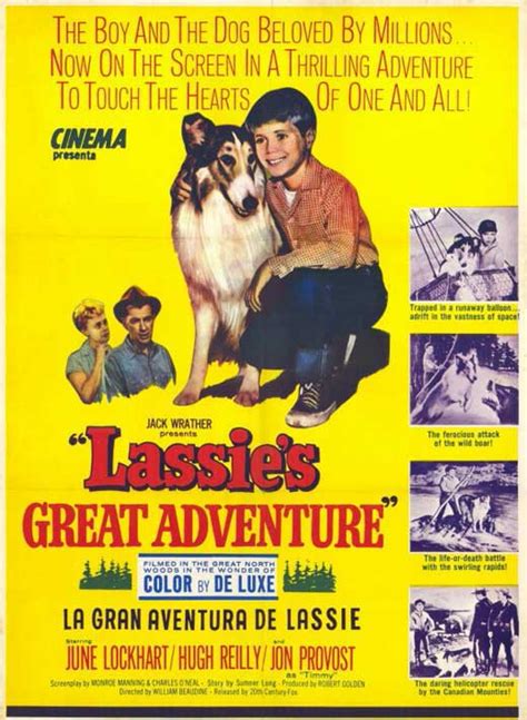 Lassies Größtes Abenteuer In Dvd Oder Blu Ray Filmstartsde