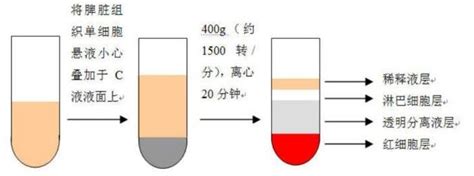 淀粉含量试剂盒蒽酮比色法品牌 化工仪器网