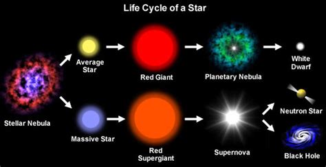 The Suns Life Cycle Astronomy Star Life Cycle