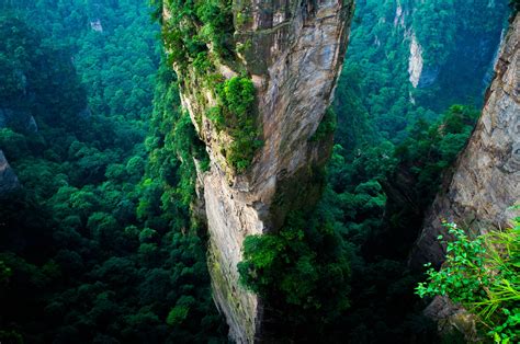 Forest China Cliff Mountain Green Summer National Park Nature