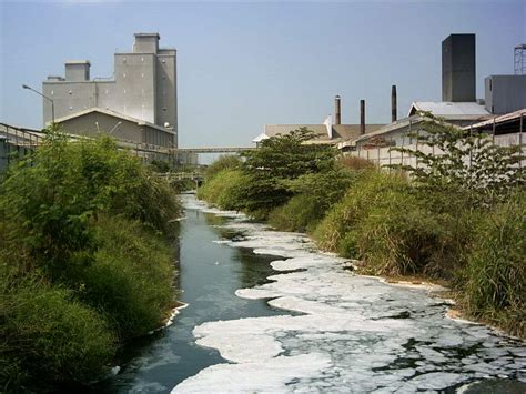 Rahma Dreams: Pencemaran Air Akibat Industri Pabrik Kertas