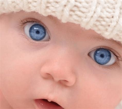 All Blue Eyed People Are Related Genetic Literacy Project