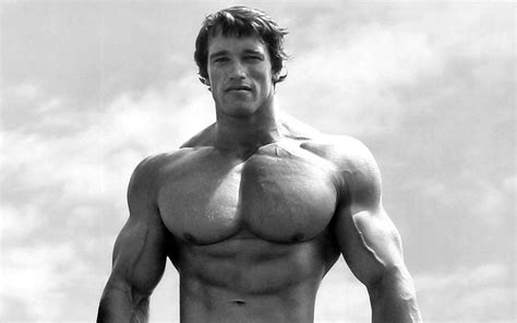 24 Awesome Arnold Schwarzenegger Bodybuilding Wallpapers Posters And