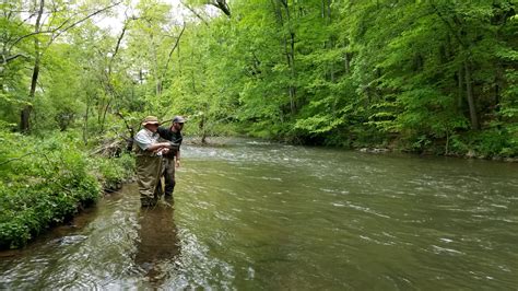 Fly Fishing Pennsylvania Top Water Trips Fly Fishing Guide Service
