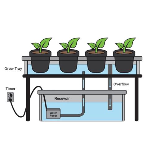 Ebb And Flow Hydroponic System Creator 3x3 Ebb And Flow Systems Ebb And