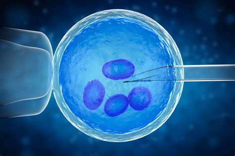 What Is Ivf In Vitro Fertilization Explaining The Step By Step