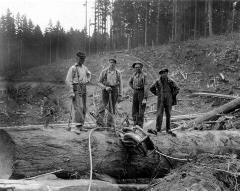 The Old Photo Guy Historical Logging Four Loggers Working With A