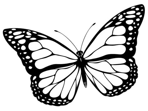 Dibujos Mariposa Realista Tatuaje De Mariposa Arte Diseño Y Dibujos