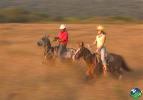 Horseback Riding Costa Rica Day Tour In Manuel Antonio