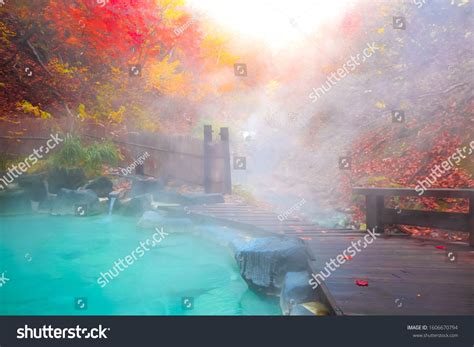 japanese hot springs onsen natural bath surrounded by red yellow leaves in fall leaves fall in