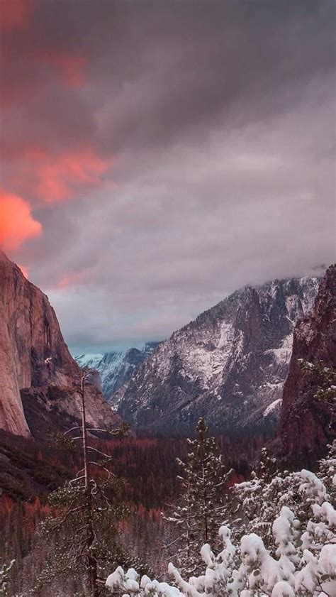 Yosemite National Park Yosemite Valley Wallpaper Backiee