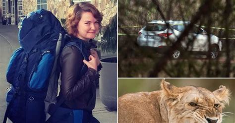 South Africa Lion Park Death American Tourist Killed By Predator