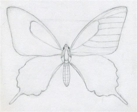 Color it in when finished, i am thinking rainbow colored markers would be fun. How To Draw A Butterfly | Butterfly drawing, Drawings ...
