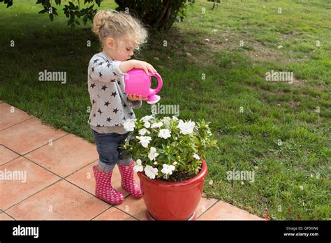 Little Girl Watering Potted Plants Stock Photo Alamy