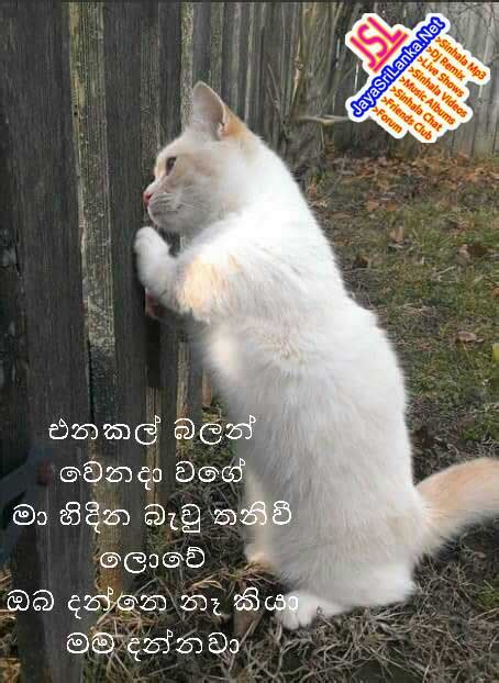 Sinhala Kunuharupa Jokes Mp3 Free Download