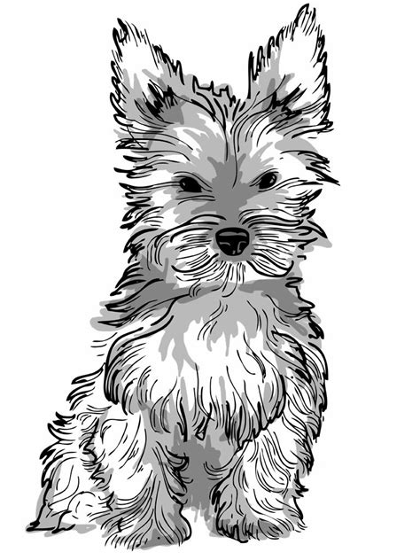 Ftd christmas dog printable coloring page, free to download and print. Dog Coloring Pages for Adults - Best Coloring Pages For Kids