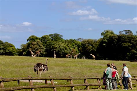 Fota Wildlife Park | Activities | Cafes | Republic of Ireland/Cork