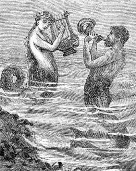 Mermaid Mythology Wiki Fandom Powered By Wikia
