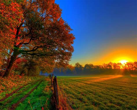 Autumn Sunset Scenery Hd Wallpaper Preview