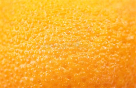 Peau Dorange Photo Stock Image Du Oranges Poreux Chute 17654528