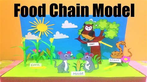 Food Chain Model Owl Food Web Model Science Project Diy
