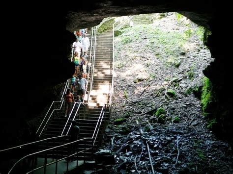 Bigfoot Believer Takes Shot In Dark At Mammoth Cave National Park