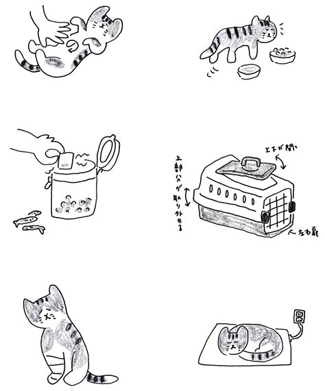 おばあちゃん猫との静かな日々 風間勇人 イラストレーションファイルweb Illustration File Web