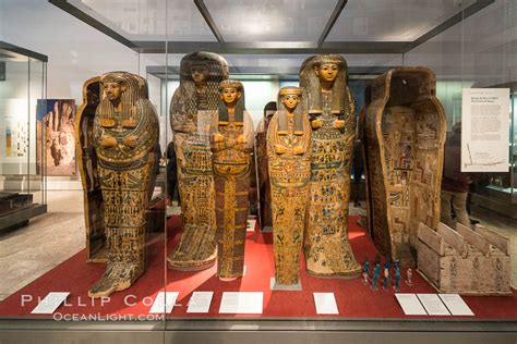 Egyptian Mummies British Museum London United Kingdom 28307