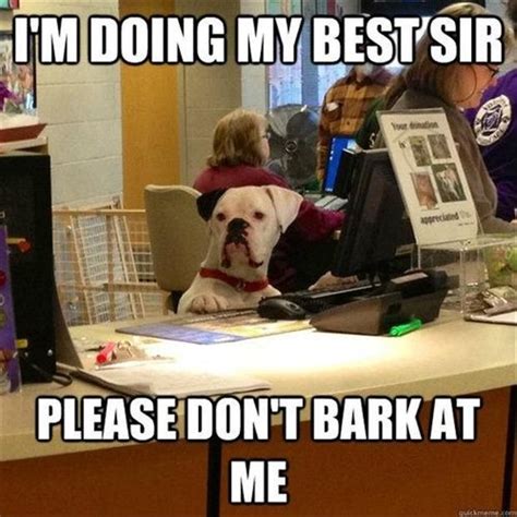 Dump A Day Funny Animal Pictures 42 Pics Animal Captions Funny