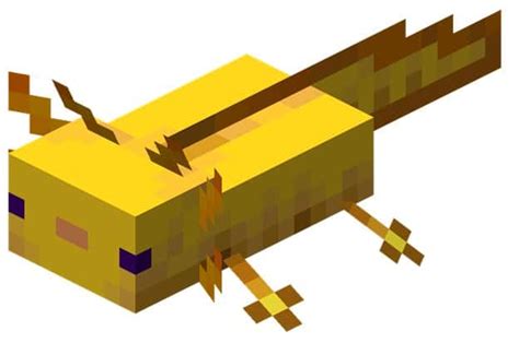 5 Rarest Colors Of Axolotl In Minecraft