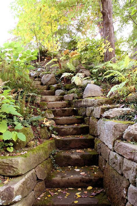 Garden Steps Up Free Stock Photo Public Domain Pictures